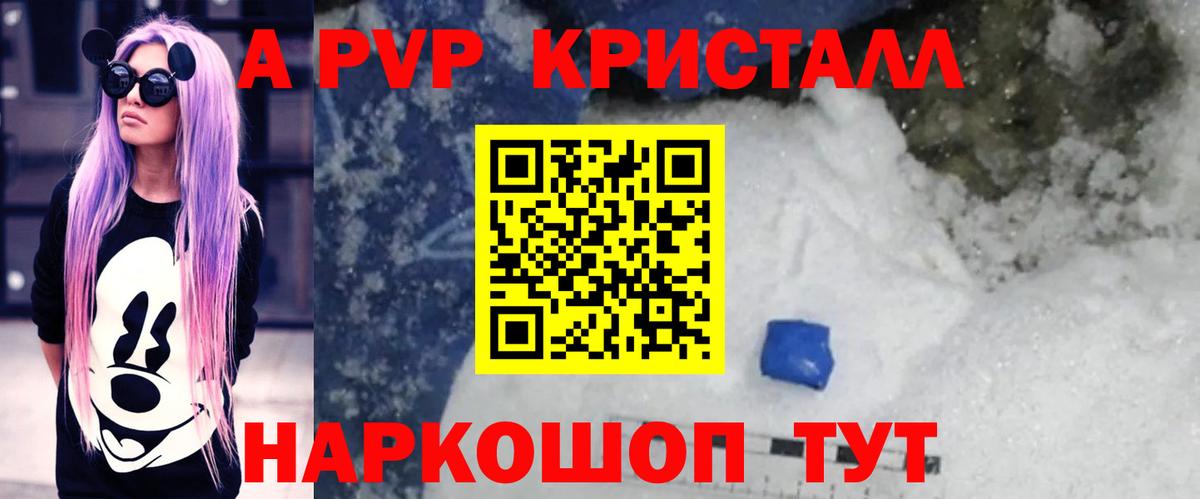 A PVP СК Камышин