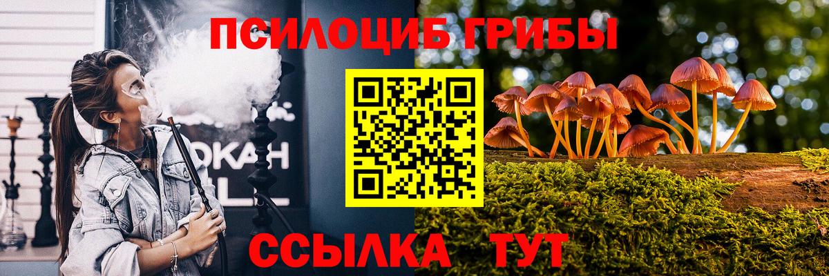 Галлюциногенные грибы мухоморы Камышин